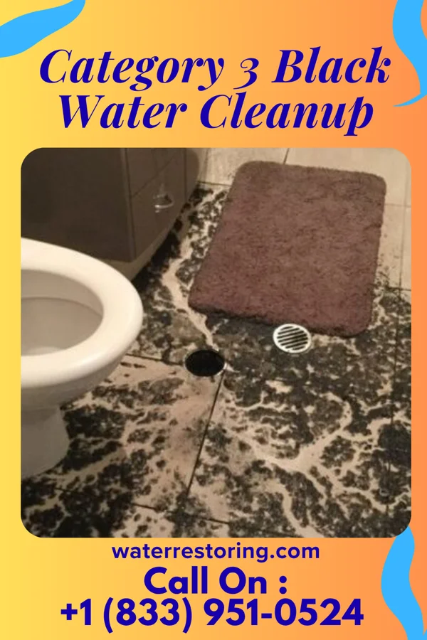Category 3 Black Water Cleanup in Reevesville, SC