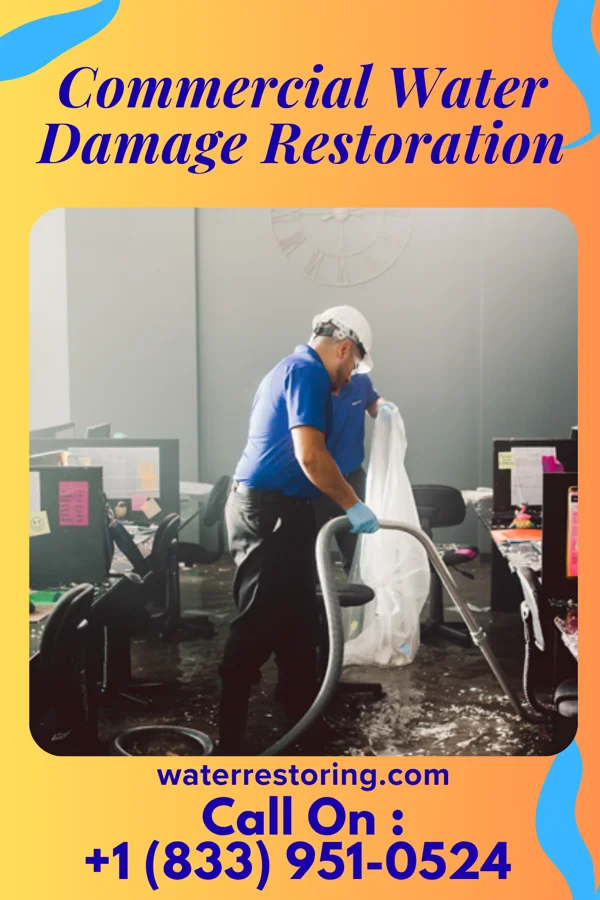 Commercial Water Damage Restoration in Reevesville, SC